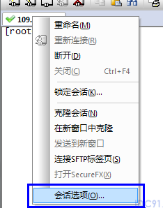 SecureCRT中文乱码设置