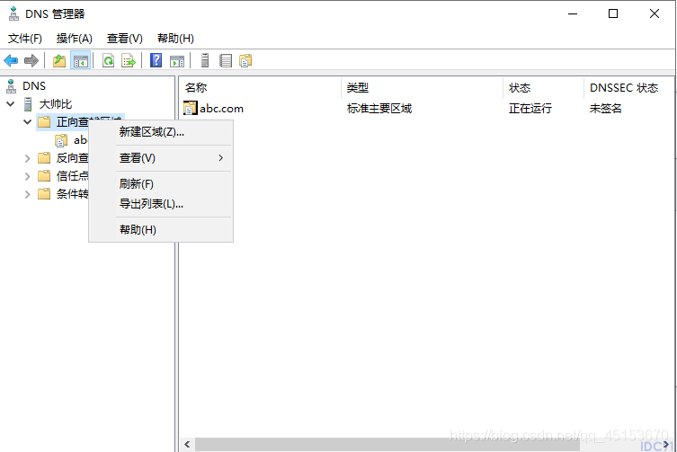 Windows Server 2019配置DNS服务器