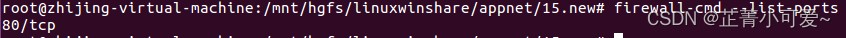 Linux服务器80端口无法访问的解决方案